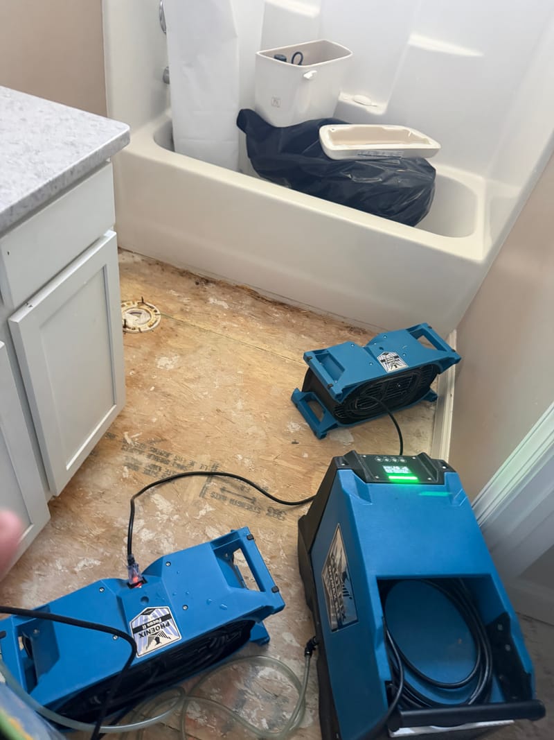 Before: Toilet pulled and the subfloor dried