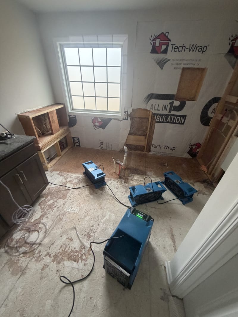 Before: Walls opened to the studs and dried