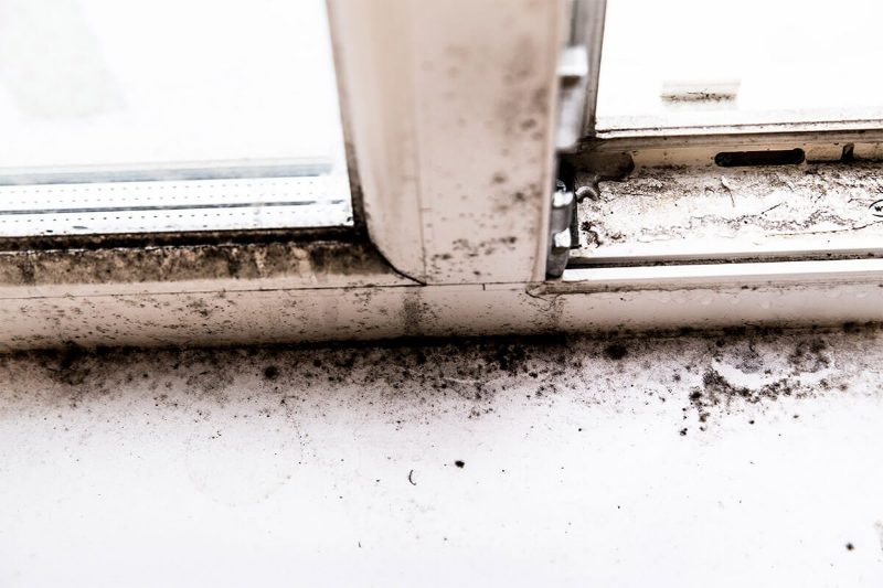 Mold and mildew growth along a window track