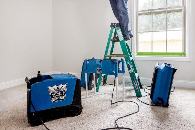 Willard's drying equipment running while a technician works from a ladder