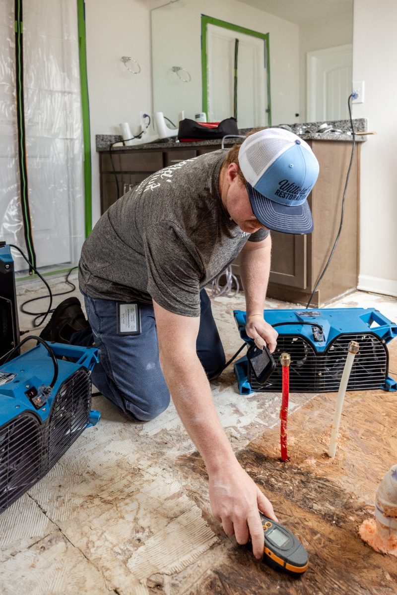 Water Restoration in Lake Hartwell