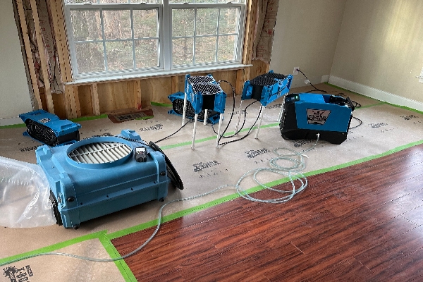Willard's Water Damage Restoration